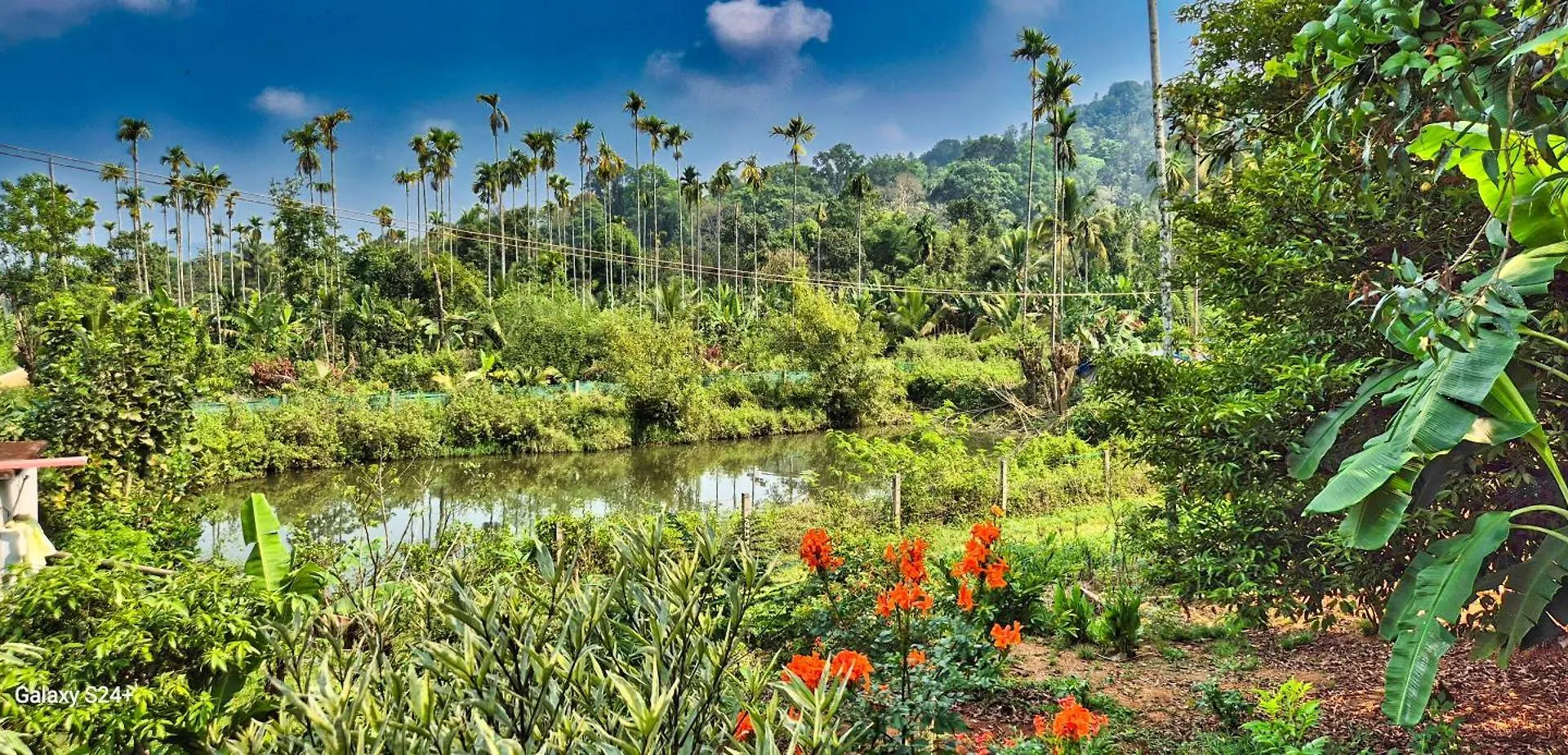 Aastha Villa Wayanad